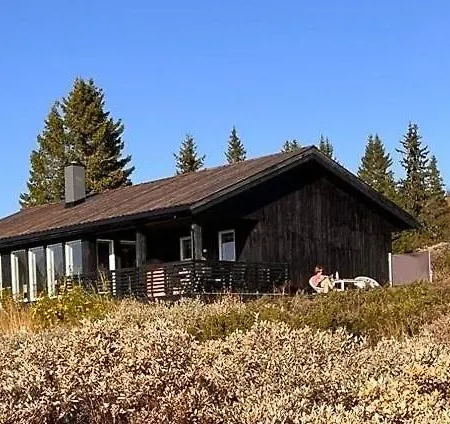 With Views At Venabygdsfjellet Feriehus